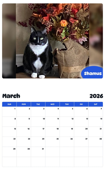 November 2025 - October 2026 Shamus - Pawidols Pet Calendar