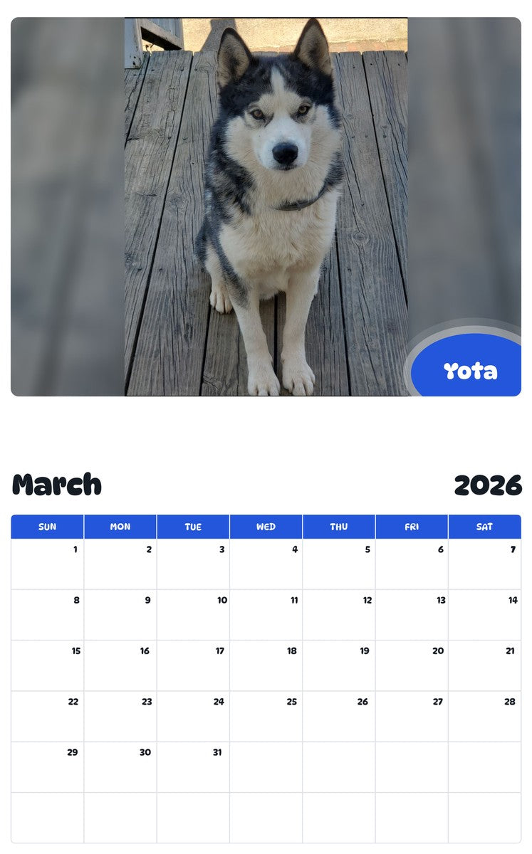 November 2025 - October 2026 Yota - Pawidols Pet Calendar