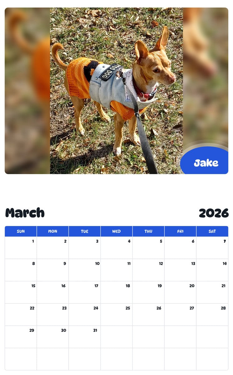 November 2025 - October 2026 Jake - Pawidols Pet Calendar