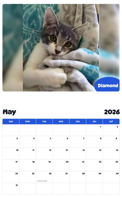 2026 - 2027 Diamond - Pawidols Pet Calendar