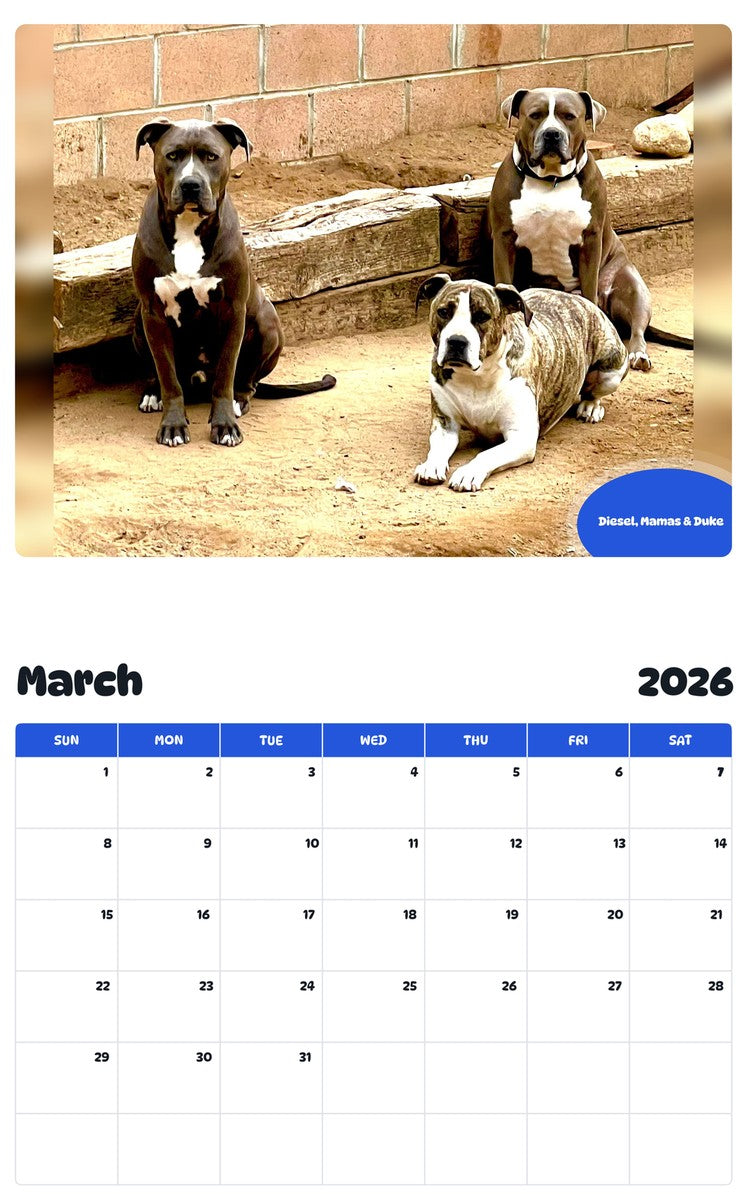 November 2025 - October 2026 Diesel, Mamas & Duke - Pawidols Pet Calendar