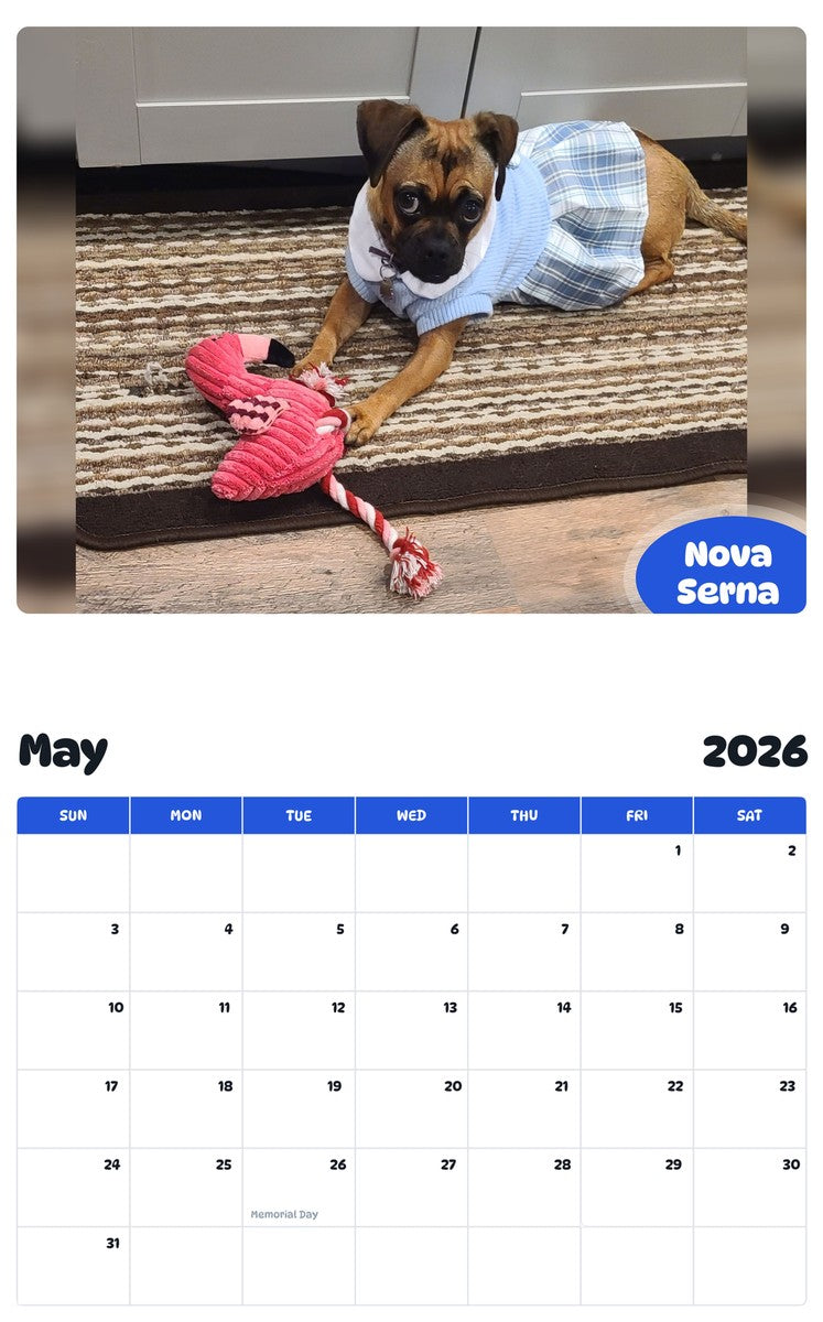 2026 - 2027 Nova Serna - Pawidols Pet Calendar
