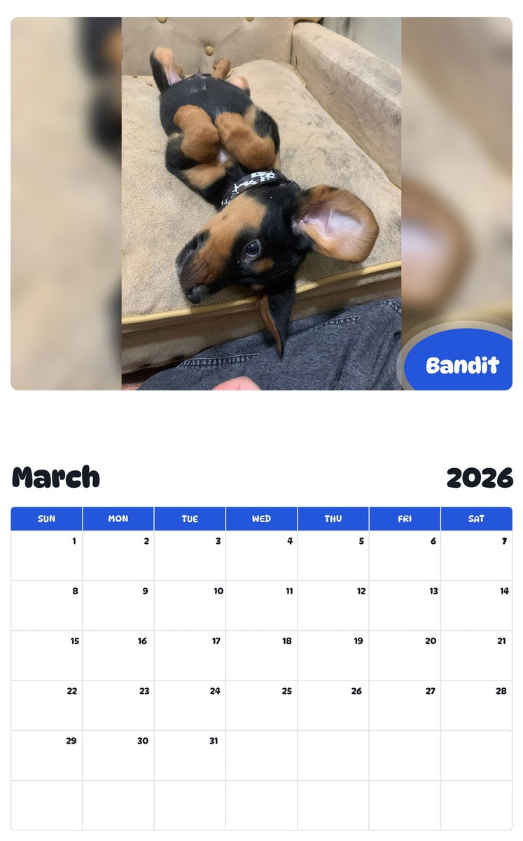 November 2025 - October 2026 Bandit - Pawidols Pet Calendar