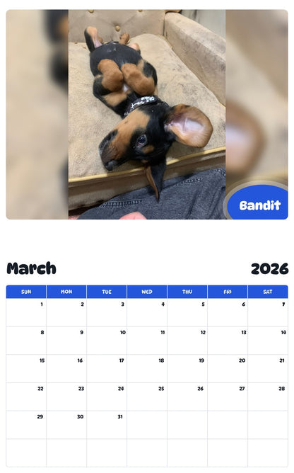 November 2025 - October 2026 Bandit - Pawidols Pet Calendar
