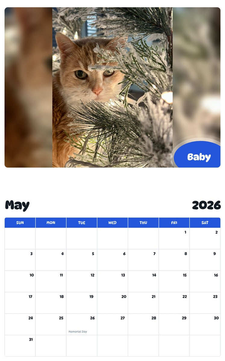 2026 - 2027 Baby - Pawidols Pet Calendar