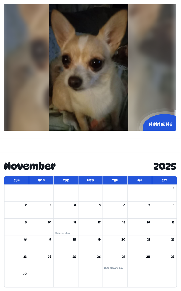 July 2025 - June 2026 Minnie Me - Pawidols Pet Calendar
