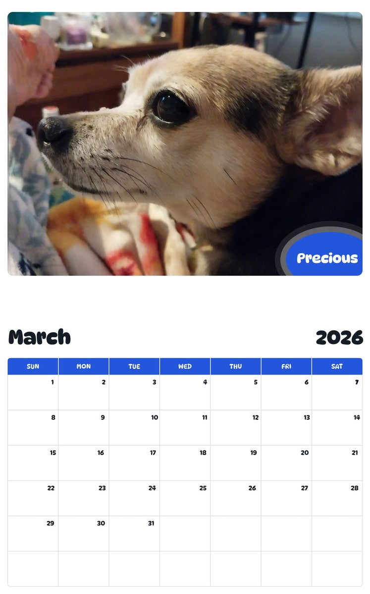 November 2025 - October 2026 Precious - Pawidols Pet Calendar