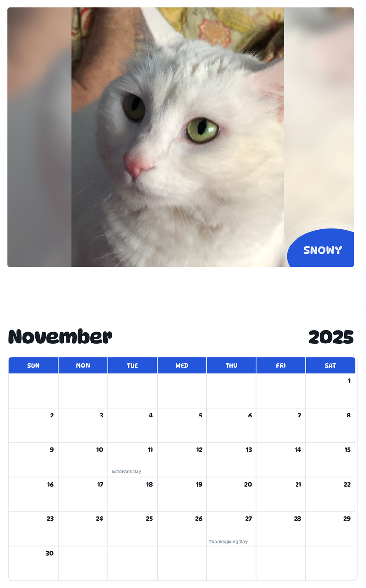 July 2025 - June 2026 Snowy - Pawidols Pet Calendar
