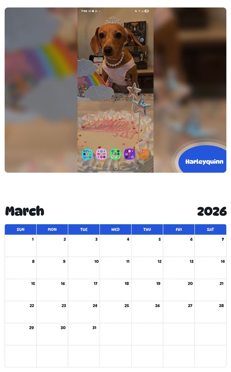 November 2025 - October 2026 Harleyquinn - Pawidols Pet Calendar