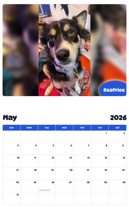 2026 - 2027 Beatrice - Pawidols Pet Calendar