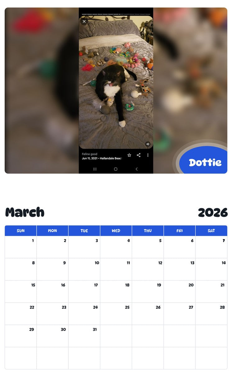 November 2025 - October 2026 Dottie - Pawidols Pet Calendar