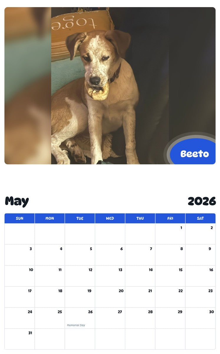 2026 - 2027 Beeto - Pawidols Pet Calendar
