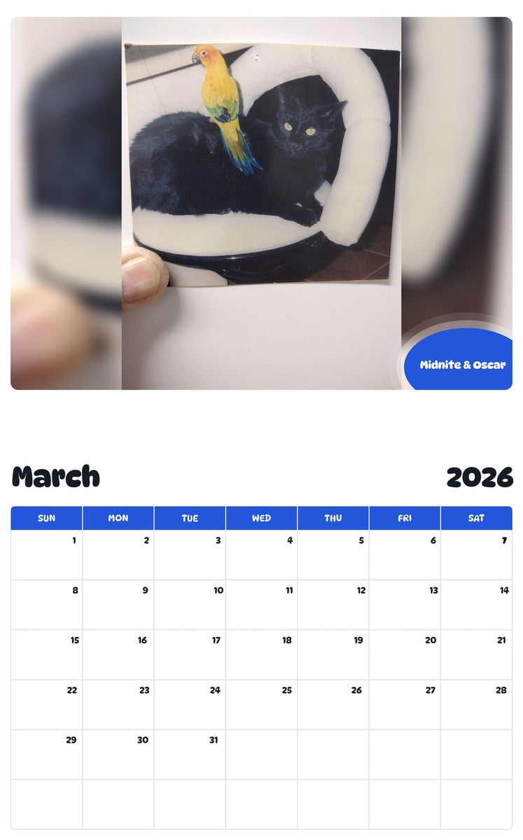 November 2025 - October 2026 Midnite & Oscar - Pawidols Pet Calendar