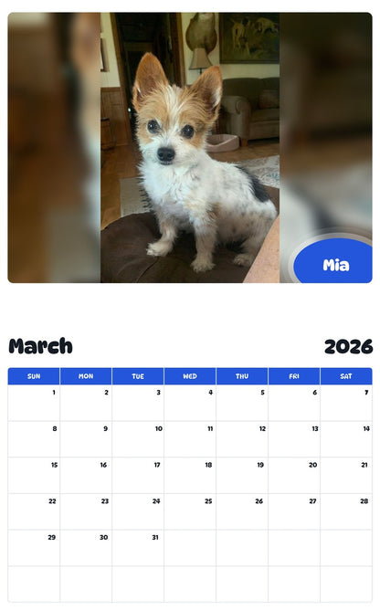 November 2025 - October 2026 Mia - Pawidols Pet Calendar