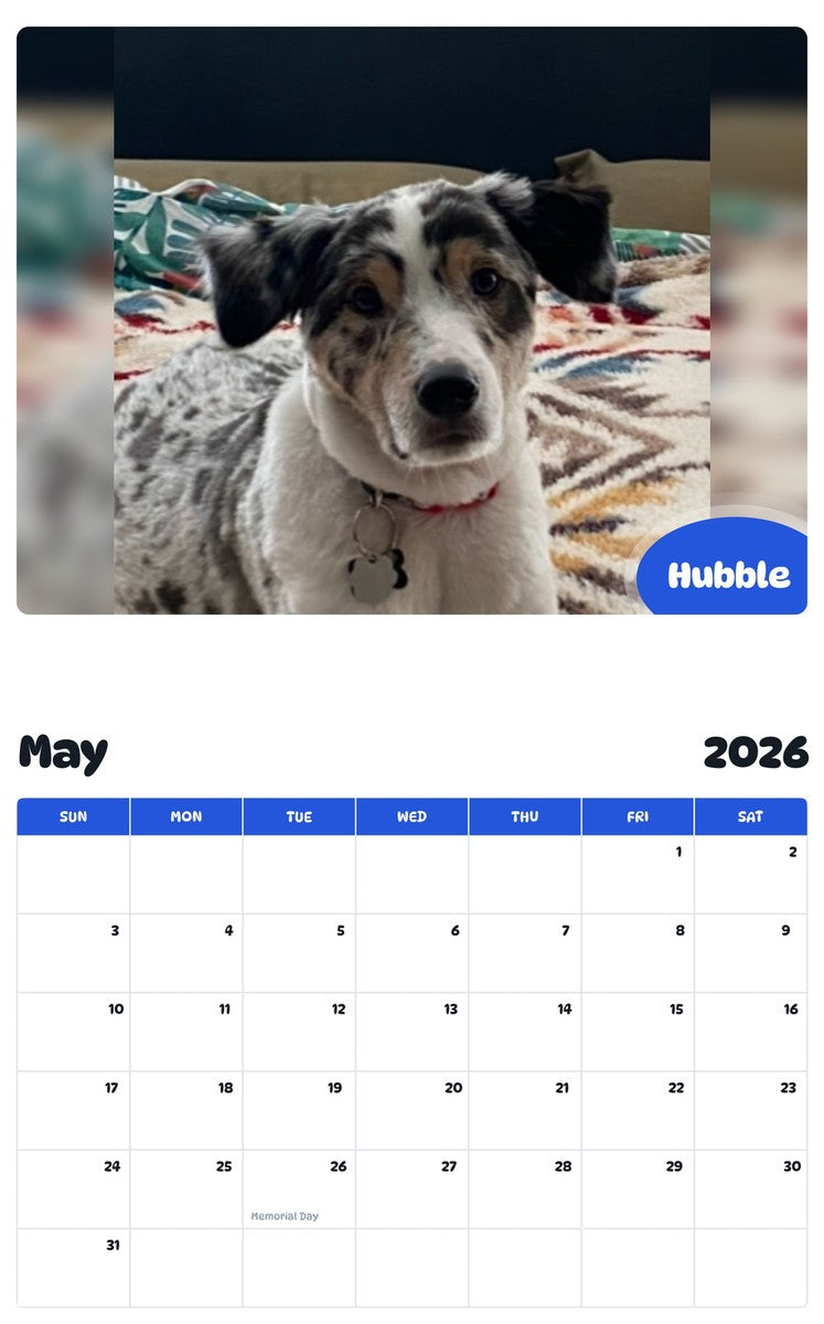 2026 - 2027 Hubble - Pawidols Pet Calendar
