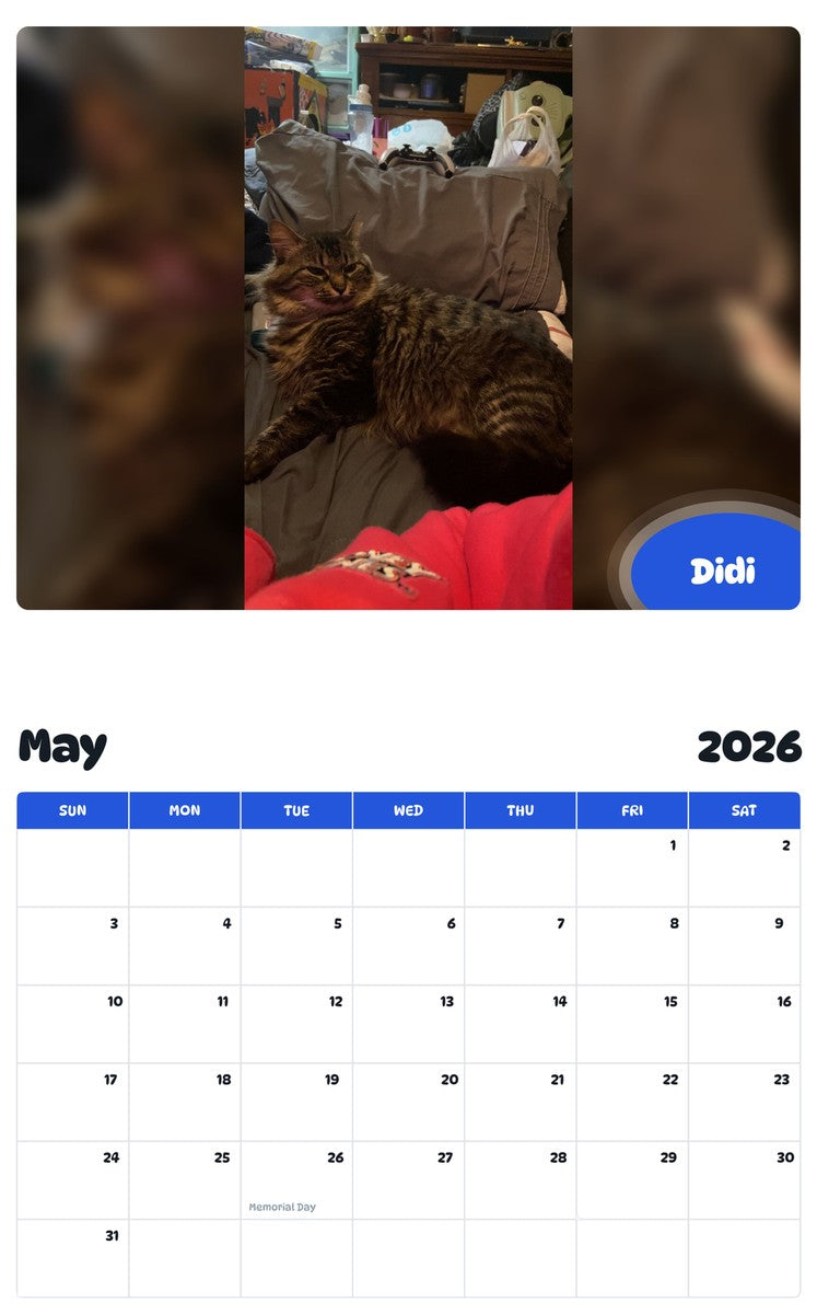 2026 - 2027 Didi - Pawidols Pet Calendar