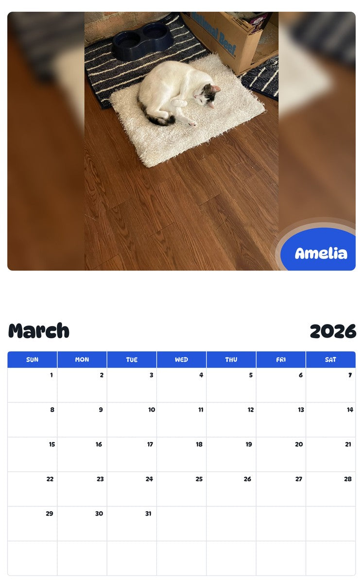 November 2025 - October 2026 Amelia - Pawidols Pet Calendar