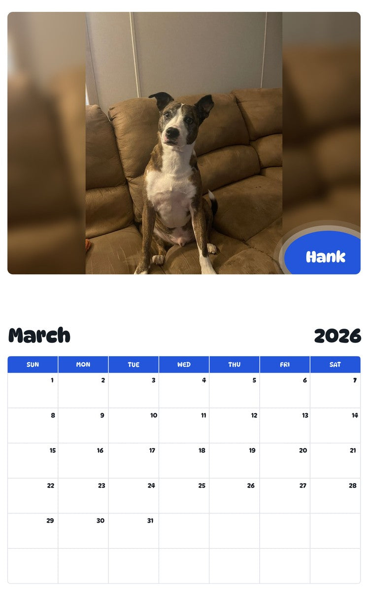 November 2025 - October 2026 Hank - Pawidols Pet Calendar