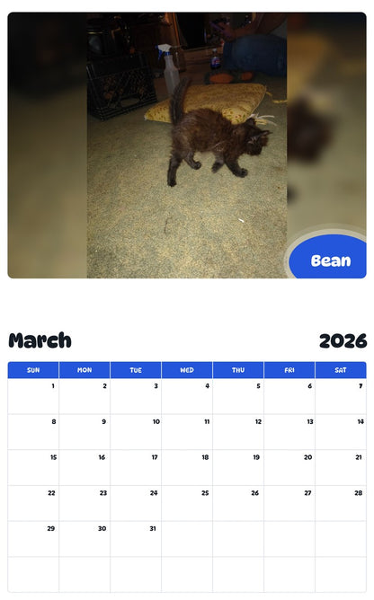 November 2025 - October 2026 Bean - Pawidols Pet Calendar