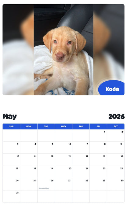 2026 - 2027 Koda - Pawidols Pet Calendar