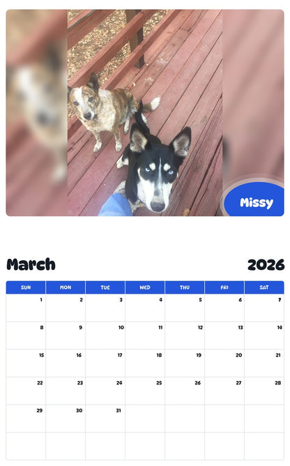 November 2025 - October 2026 Missy - Pawidols Pet Calendar