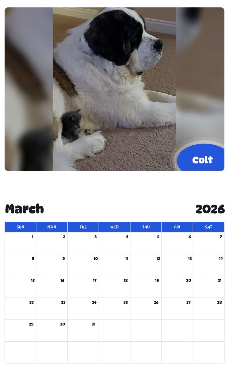 November 2025 - October 2026 Colt - Pawidols Pet Calendar