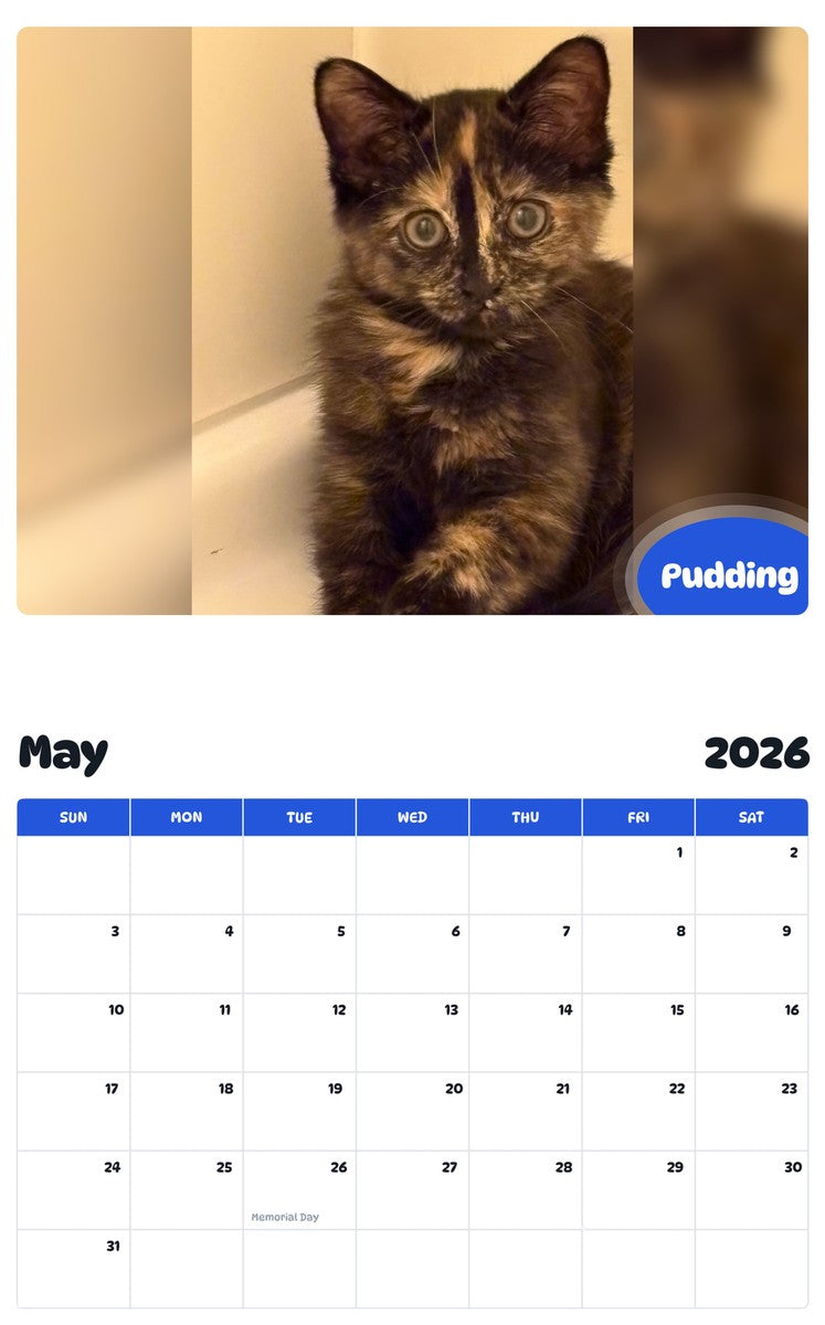 2026 - 2027 Pudding - Pawidols Pet Calendar