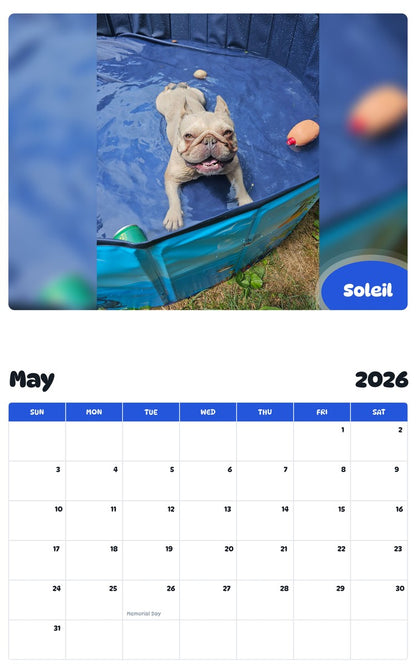 2026 - 2027 Soleil - Pawidols Pet Calendar