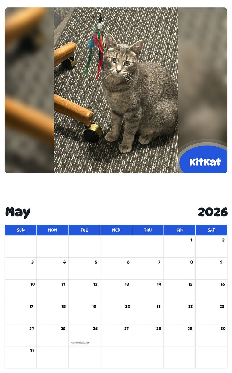 2026 - 2027 KitKat - Pawidols Pet Calendar
