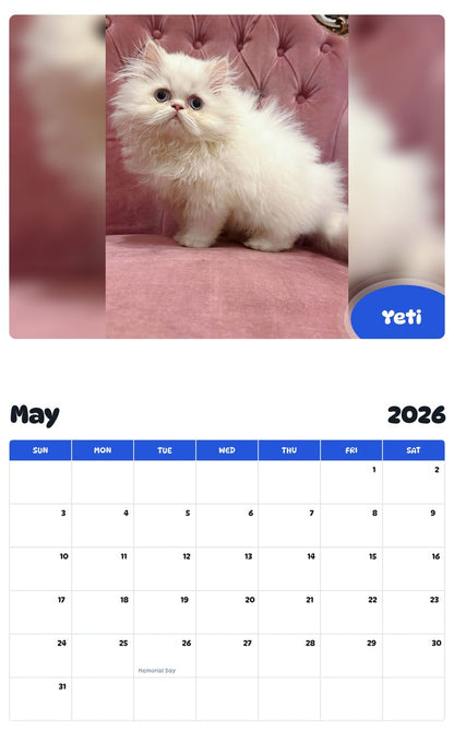2026 - 2027 Yeti - Pawidols Pet Calendar