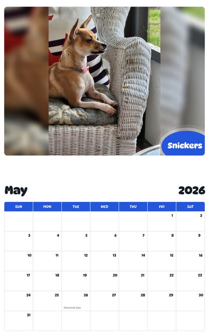 2026 - 2027 Snickers - Pawidols Pet Calendar