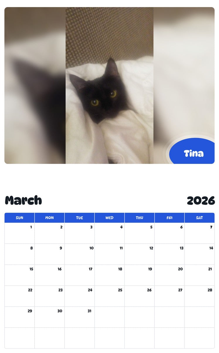 November 2025 - October 2026 Tina - Pawidols Pet Calendar
