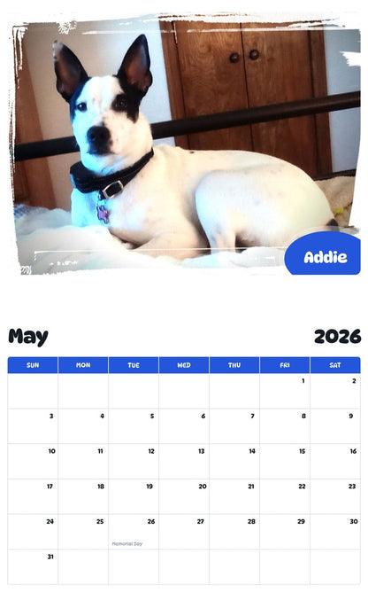 2026 - 2027 Addie - Pawidols Pet Calendar