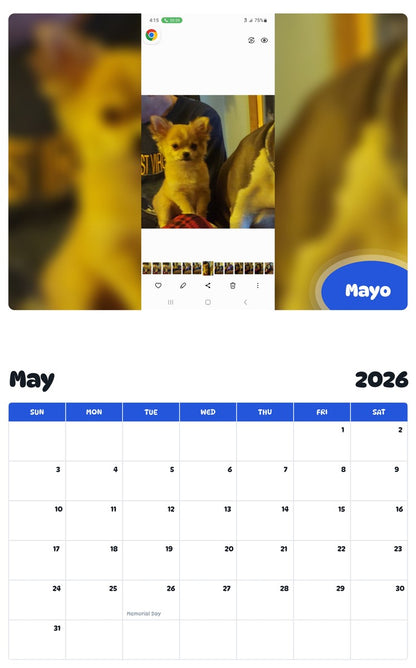 2026 - 2027 Mayo - Pawidols Pet Calendar
