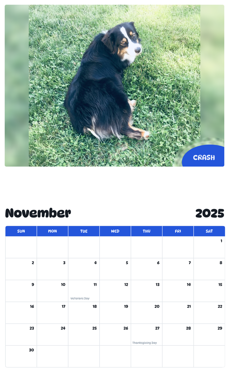 July 2025 - June 2026 Crash - Pawidols Pet Calendar