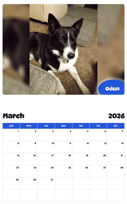 November 2025 - October 2026 Oden - Pawidols Pet Calendar