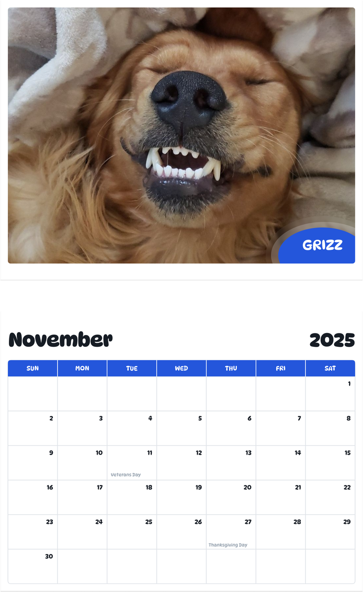 July 2025 - June 2026 Grizz - Pawidols Pet Calendar