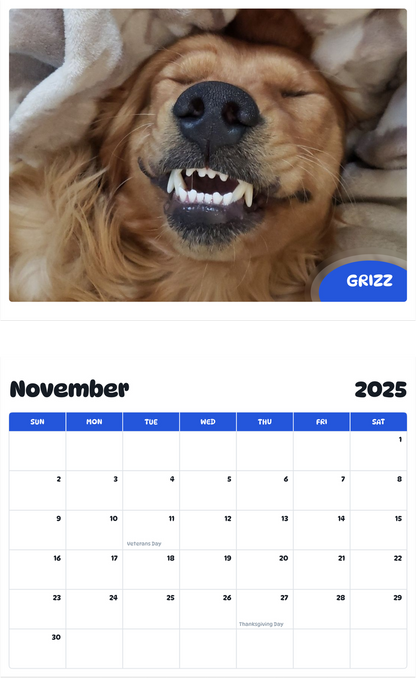 July 2025 - June 2026 Grizz - Pawidols Pet Calendar