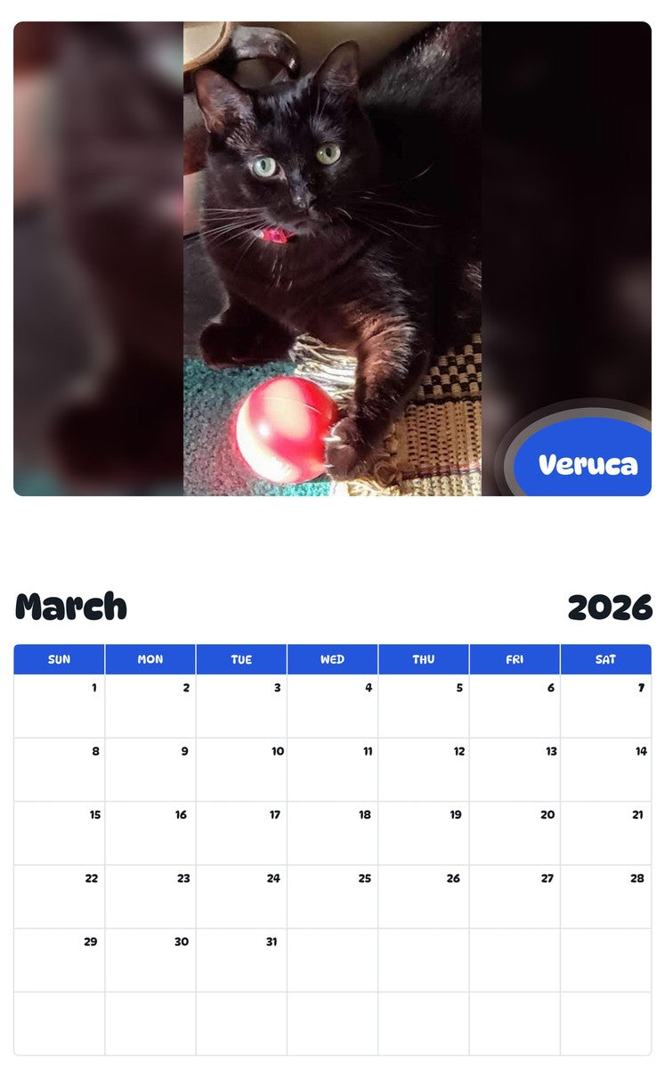 November 2025 - October 2026 Veruca - Pawidols Pet Calendar