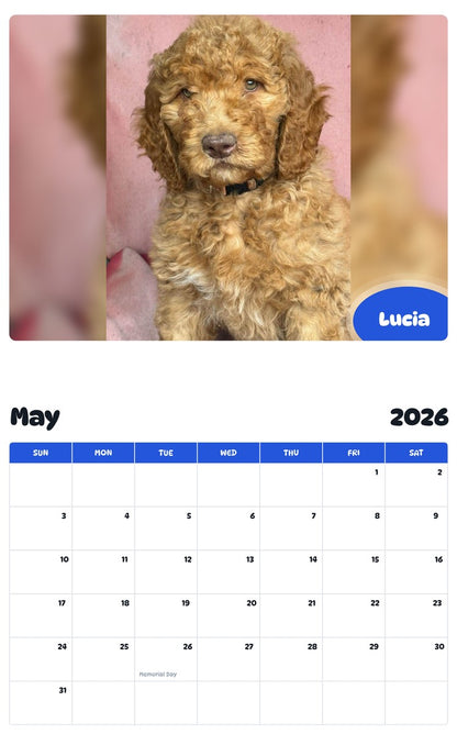2026 - 2027 Lucia - Pawidols Pet Calendar
