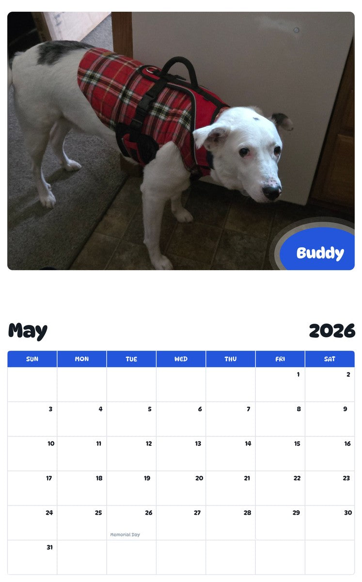2026 - 2027 Buddy - Pawidols Pet Calendar