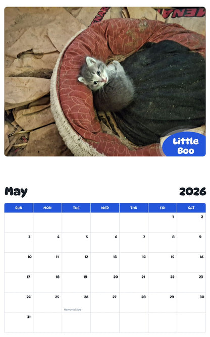 2026 - 2027 Little Boo - Pawidols Pet Calendar