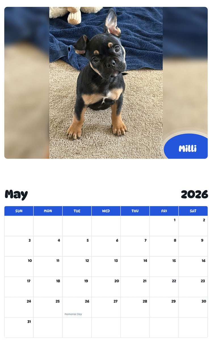 2026 - 2027 Milli - Pawidols Pet Calendar