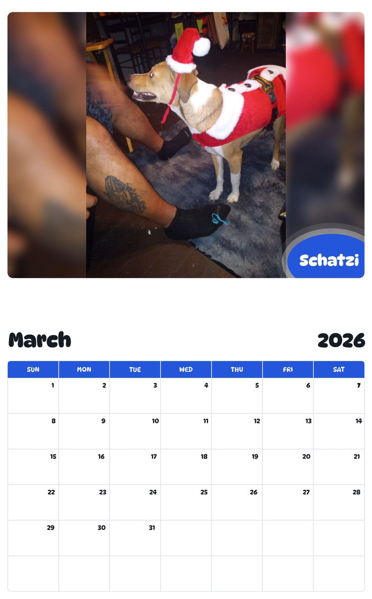 November 2025 - October 2026 Schatzi - Pawidols Pet Calendar