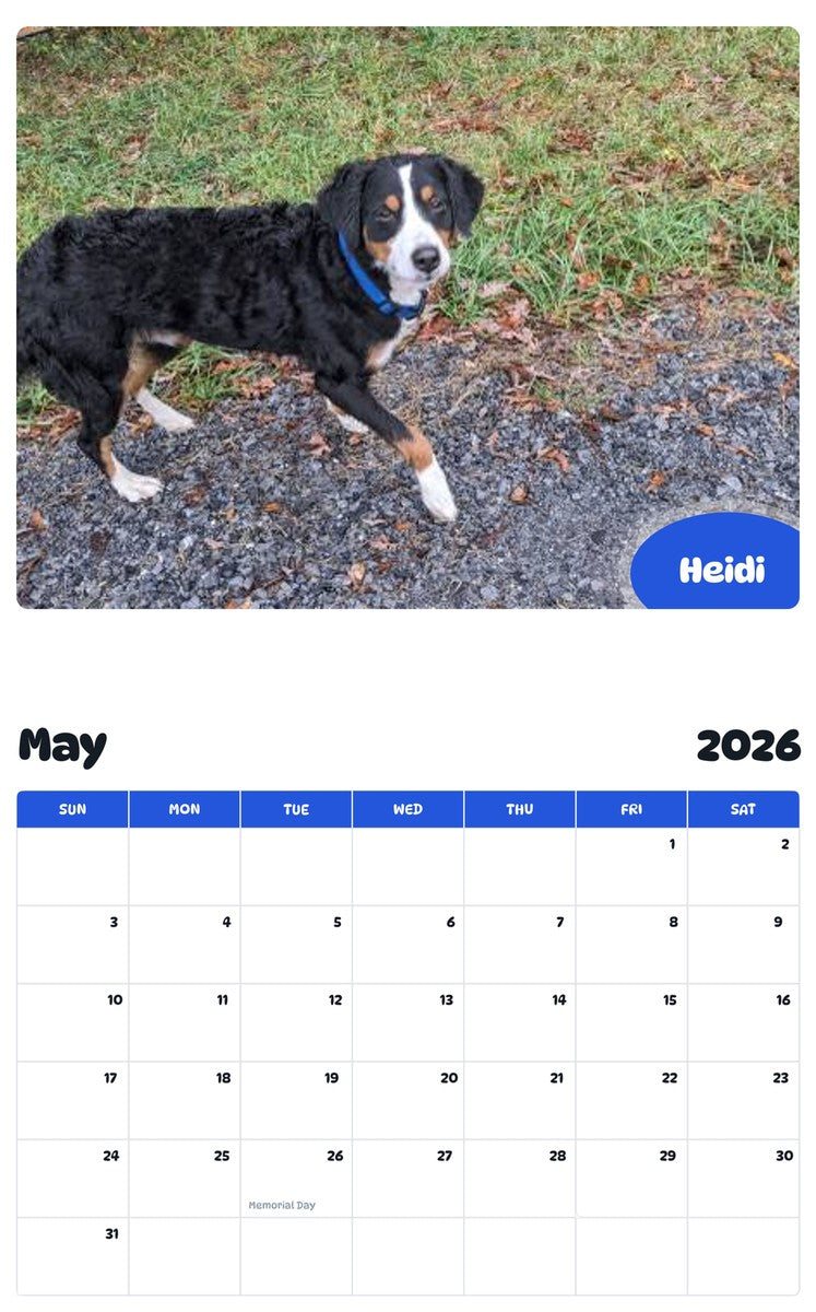 2026 - 2027 Heidi - Pawidols Pet Calendar