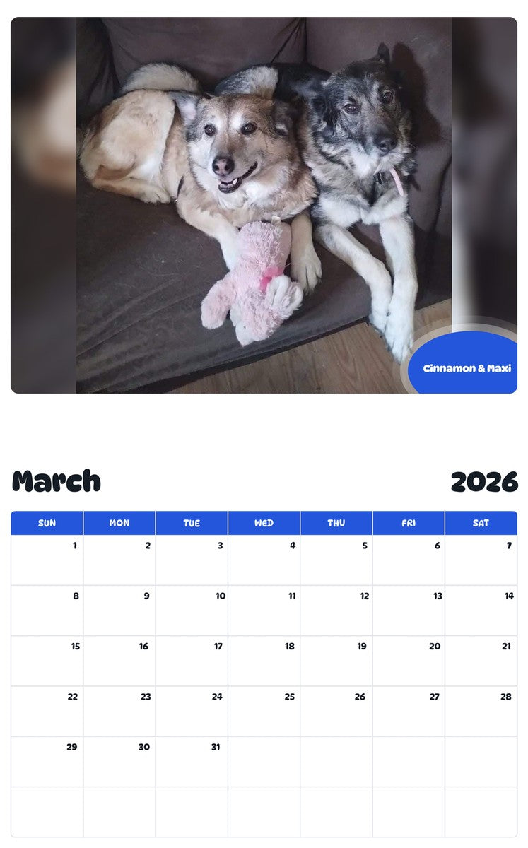 November 2025 - October 2026 Cinnamon & Maxi - Pawidols Pet Calendar