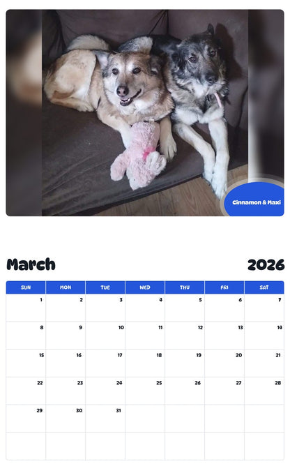 November 2025 - October 2026 Cinnamon & Maxi - Pawidols Pet Calendar