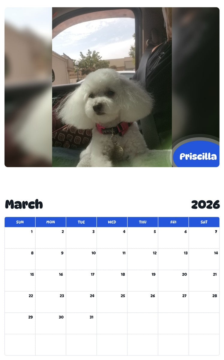 November 2025 - October 2026 Priscilla - Pawidols Pet Calendar