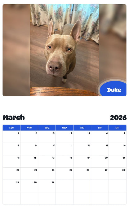 November 2025 - October 2026 Duke - Pawidols Pet Calendar