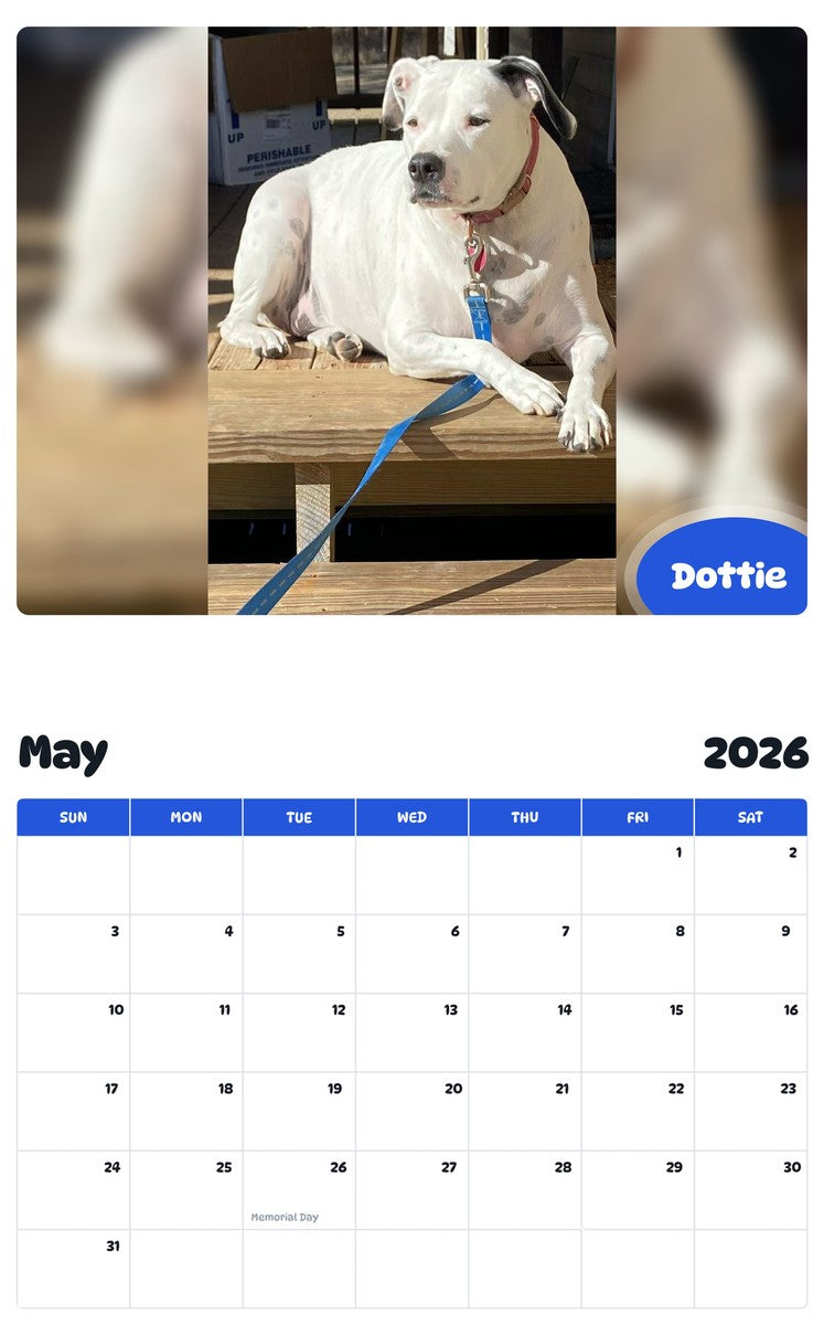 2026 - 2027 Dottie - Pawidols Pet Calendar